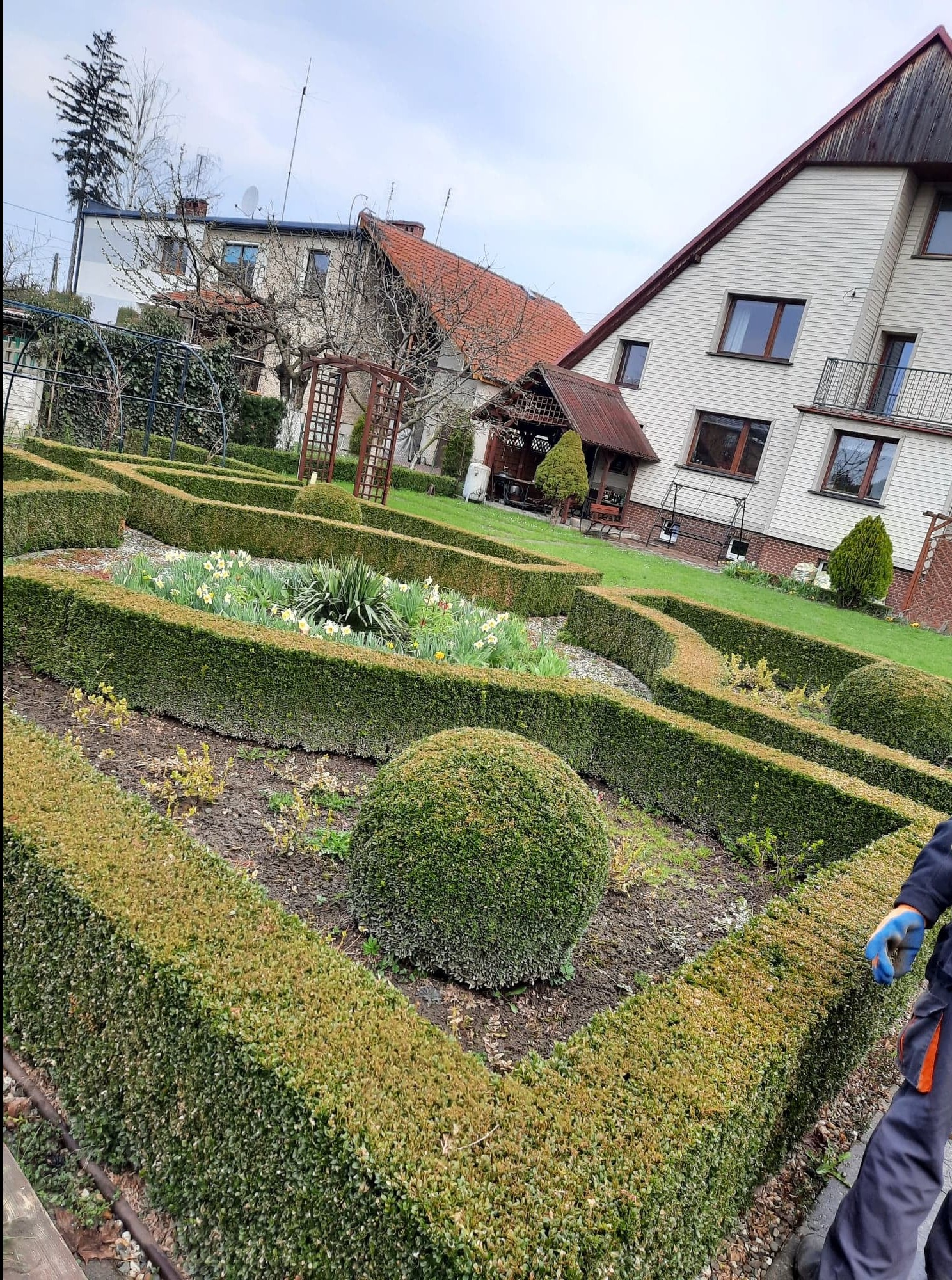 Geometryczny ogród z niskimi żywopłotami i kwitnącymi kwiatami, widok na dom z jasną elewacją i czerwoną dachówką, fragment sylwetki ogrodnika.