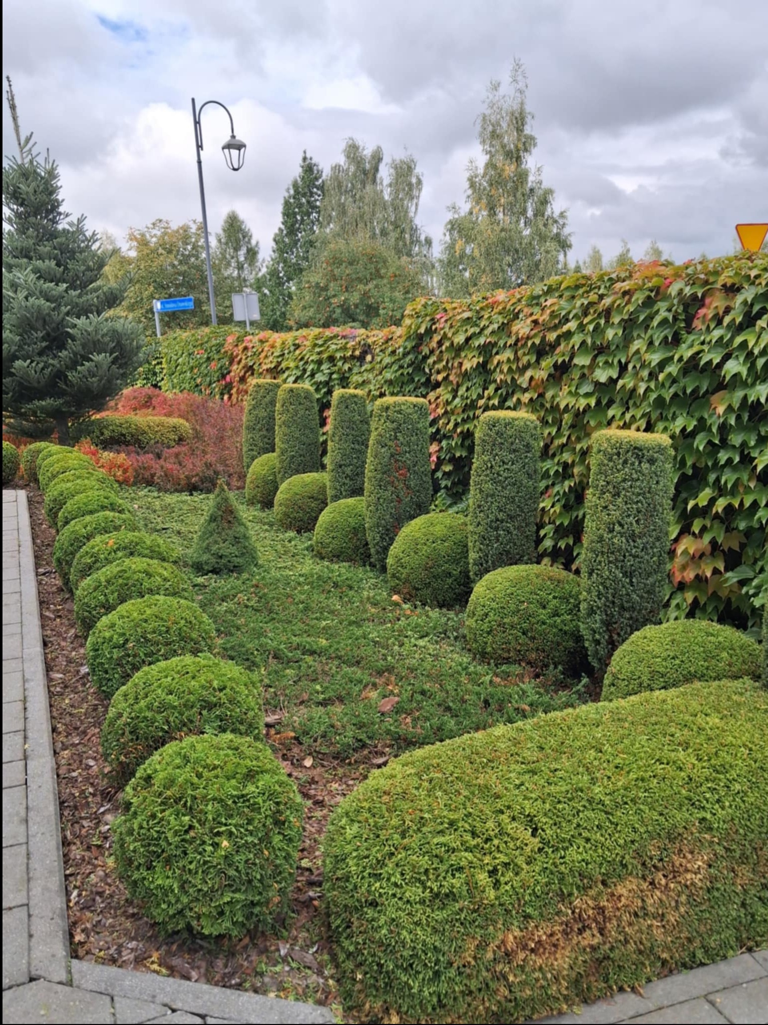 Kreatywnie przycięte krzewy w ogrodzie, formowane w kule i prostopadłościany, z bluszczem na murze w tle. Widok na lampę uliczną i drzewa w pochmurny dzień.