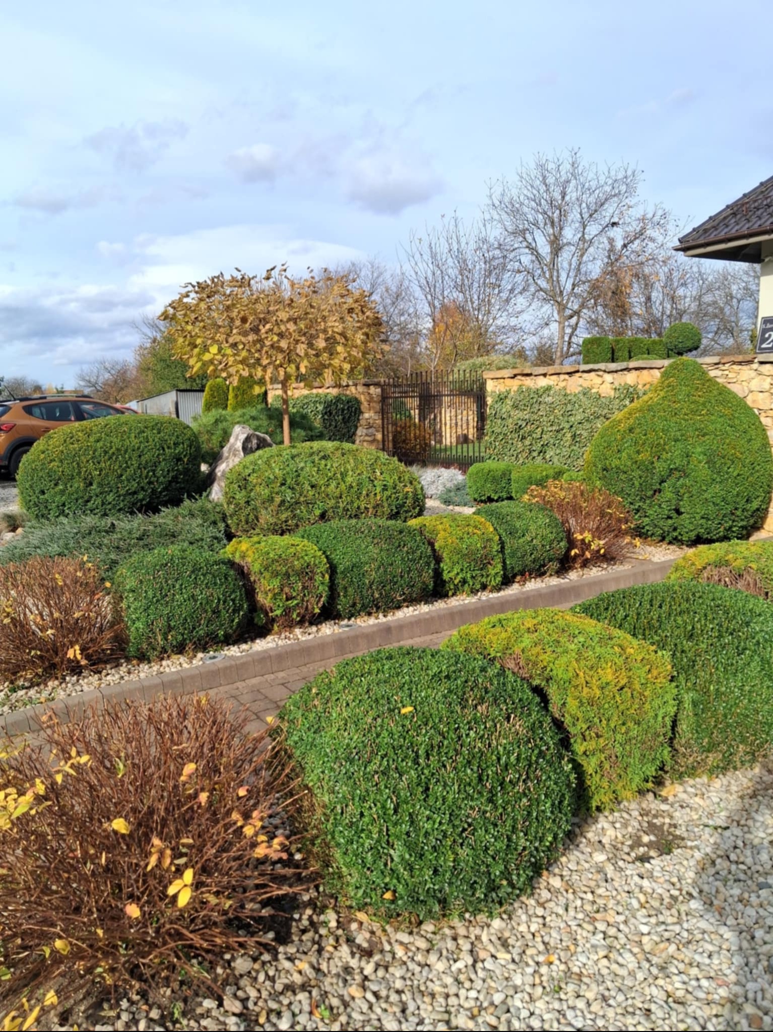 Starannie utrzymany ogród z formowanymi krzewami bukszpanu, ścieżką z kostki i ozdobnym kamieniem. Widoczne drzewa i fragment domu w tle, tworzące harmonijną kompozycję.