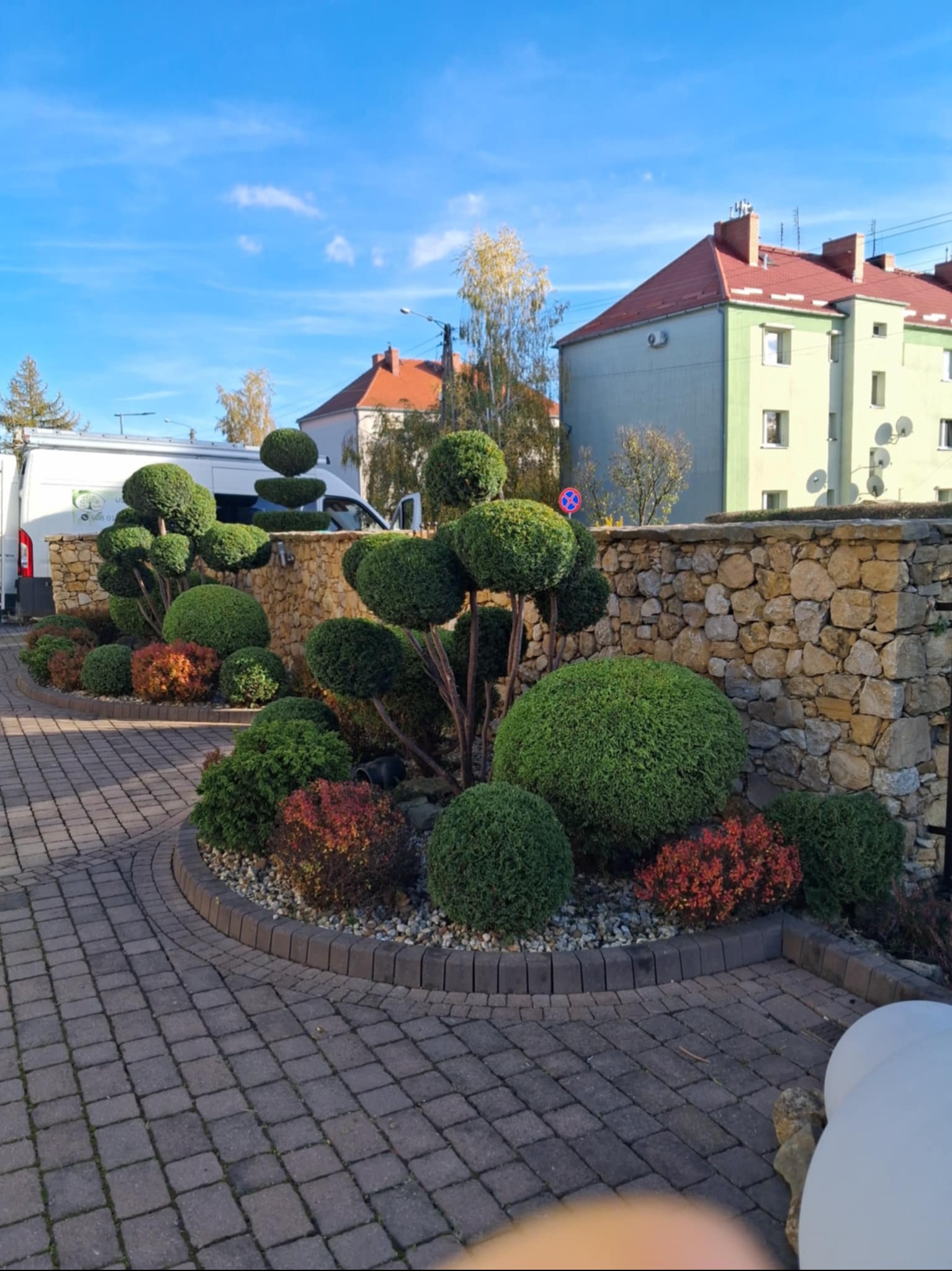 Niwaki :) Prawda, że pięknie wyprowadzone?