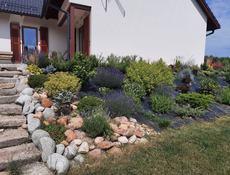 Ogród kaskadowy z kamiennymi schodami i różnorodną roślinnością na czarnej macie, przy białym domu z brązowymi okiennicami. Słoneczny dzień.