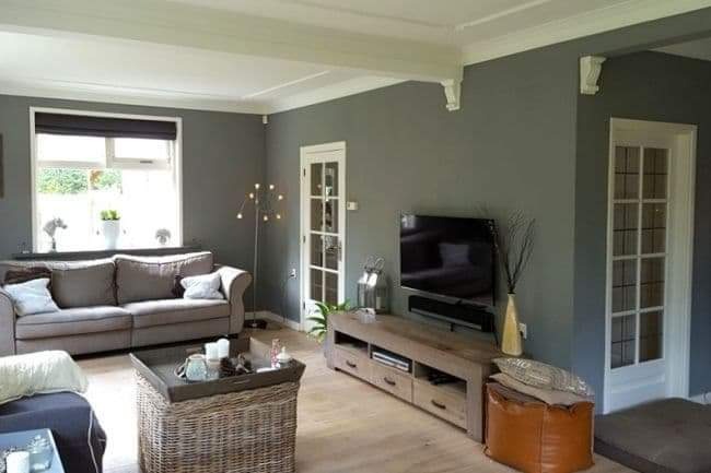 Jasny salon w szarościach z drewnianą podłogą, sofa z poduszkami, rattanowy stolik kawowy, telewizor na szafce RTV i białe sztukaterie pod sufitem.