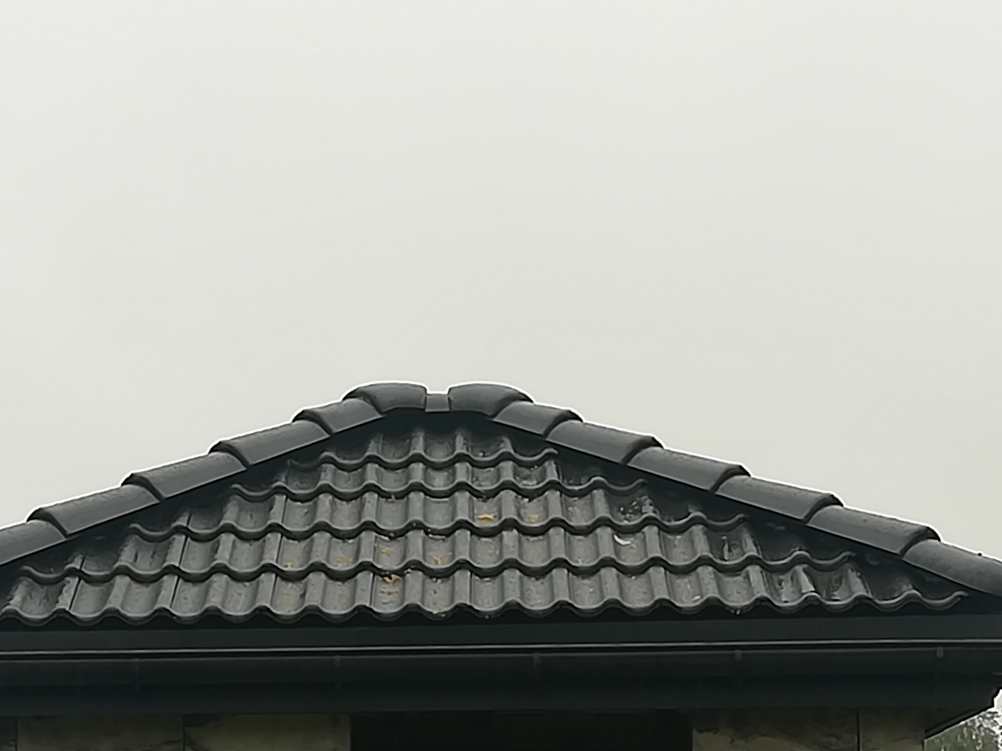 Część dachu z czarną dachówką ceramiczną, widoczne liście na powierzchni, pochmurne niebo w tle.