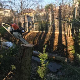 Piła spalinowa marki Stihl spoczywa na świeżo ściętym pniu drzewa w Kaliszu, obok płynącego strumyka, z powalonym pniem w wodzie i w tle widocznymi budynkami.