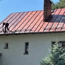 Pracownik w kombinezonie maluje metalowy dach z widocznymi śladami korozji na tle jasnego nieba i zieleni drzew.