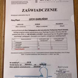 Wymiana dachu Szczecin 32