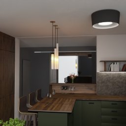 Salon z kuchnią 40 m2