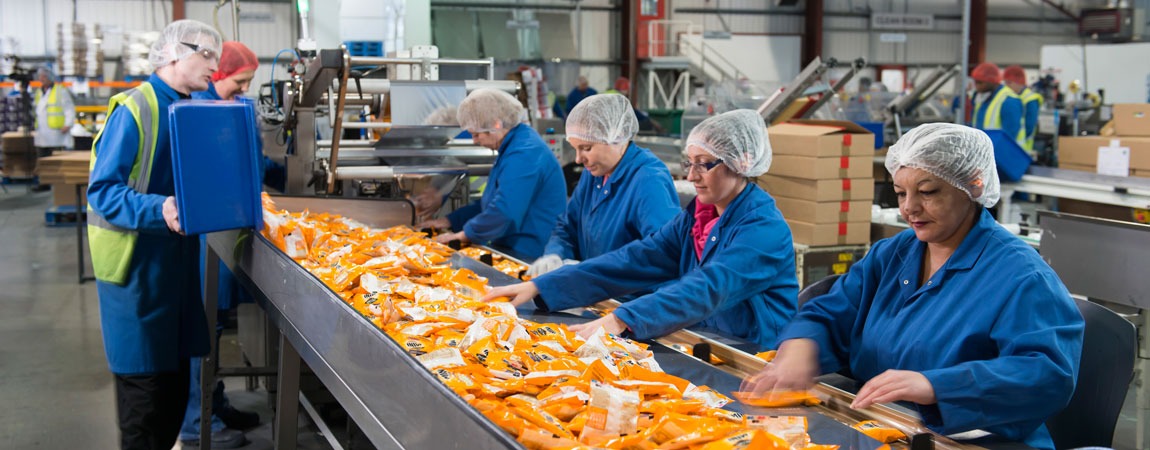 Pracownicy w odzieży ochronnej sortują pomarańczowe paczki na linii produkcyjnej w hali fabrycznej.