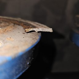 Sznur azbestowy, uszczelka