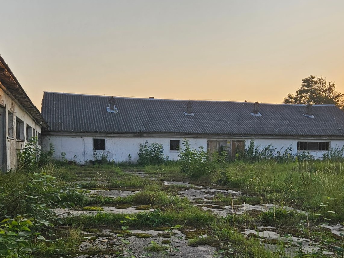 Rozbiórka płyt azbestowo-cementowych falistych.