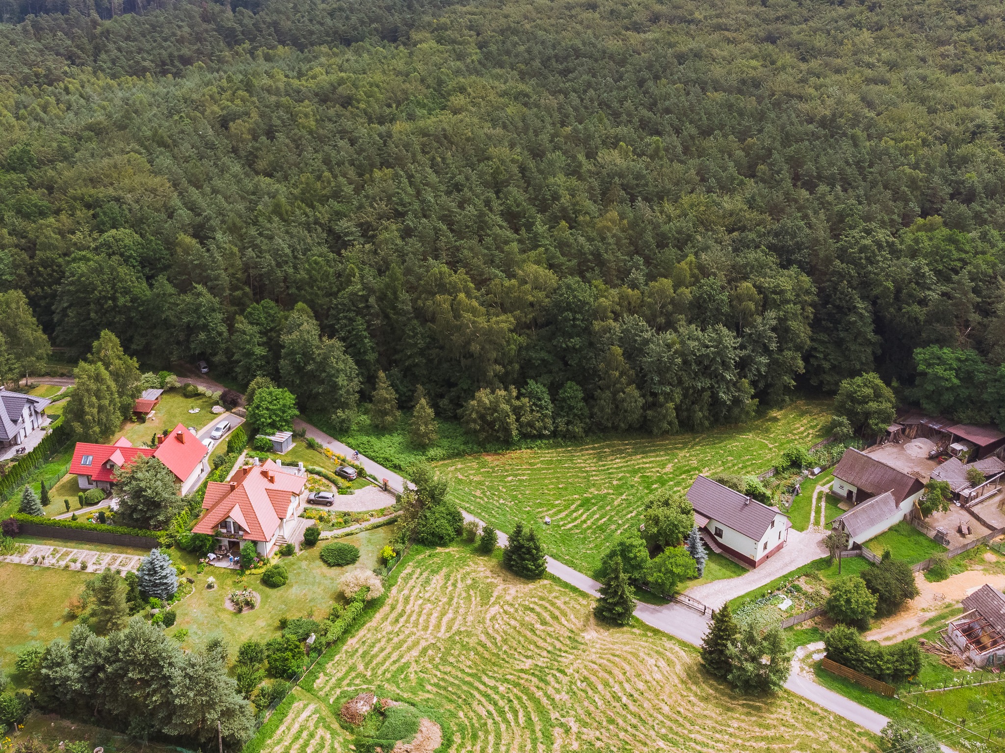 Panoramiczny widok z drona na osiedle domów jednorodzinnych otoczonych lasem; widoczne czerwone dachy i zadbane ogrody.