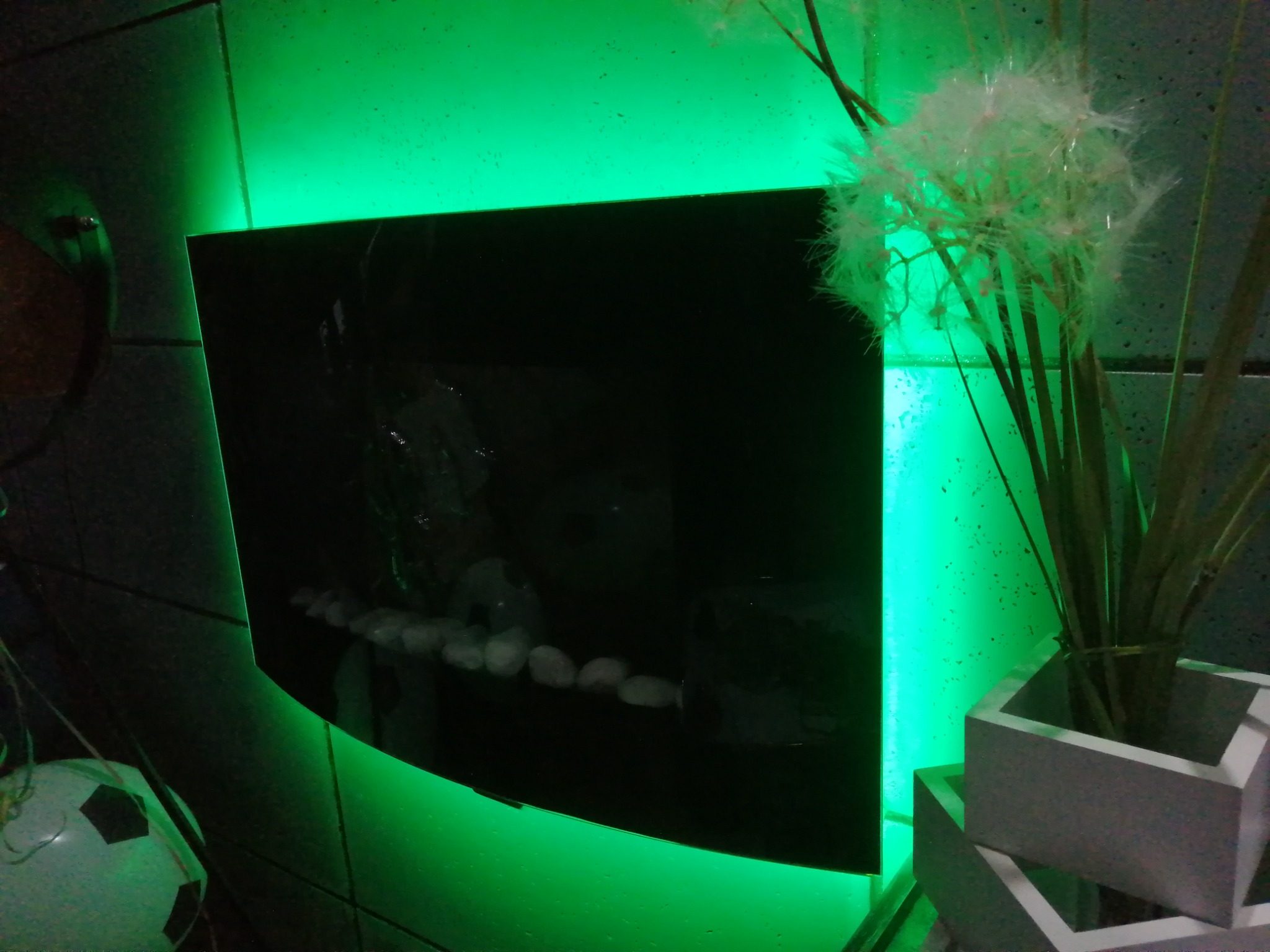 Podświetlony na zielono panel dekoracyjny z białymi kamieniami i sztucznymi dmuchawcami w geometrycznej doniczce, widoczna piłka nożna w tle.