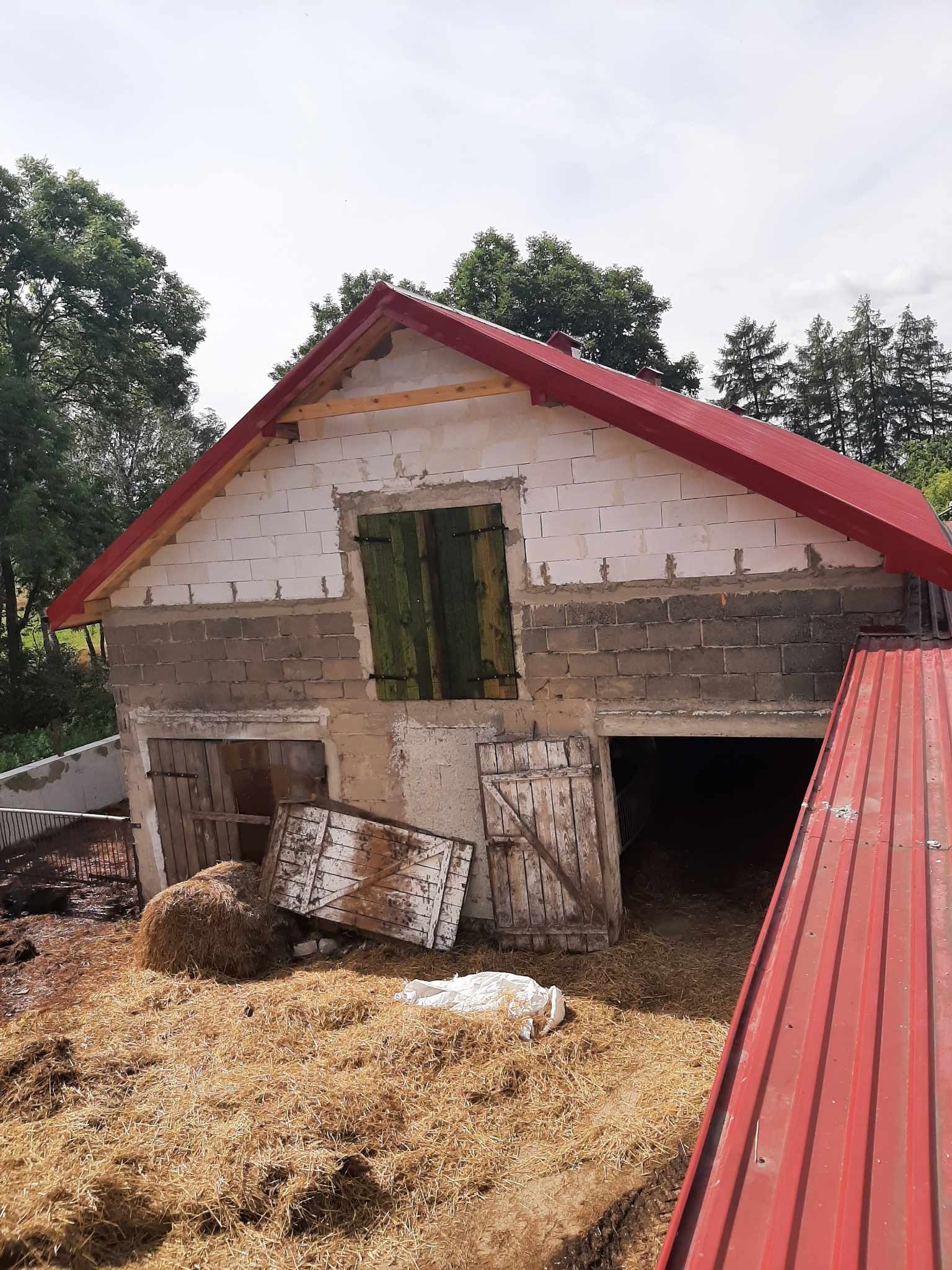 Budynek gospodarczy w trakcie remontu: nowa, czerwona blacha na dachu, ściany z bloczków częściowo otynkowane, drewniane wrota stodoły, sterta siana na podłożu.