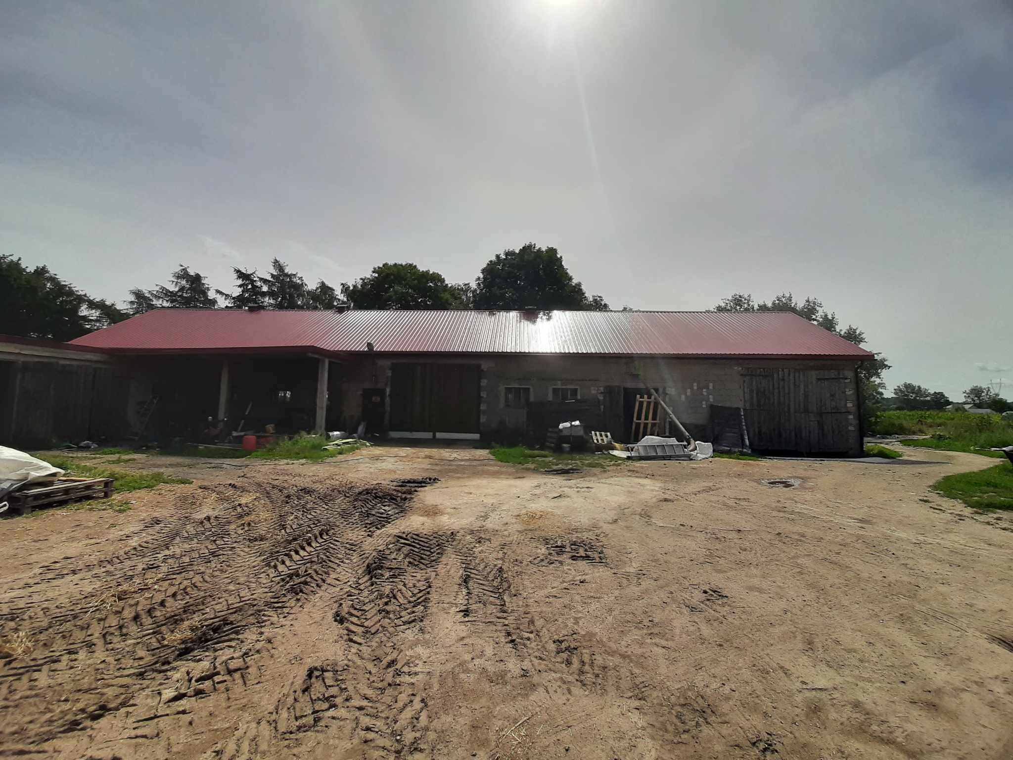 Budynek gospodarczy z nowym, czerwonym dachem z blachy trapezowej, widoczne ślady opon na ziemi, drabina oparta o ścianę.