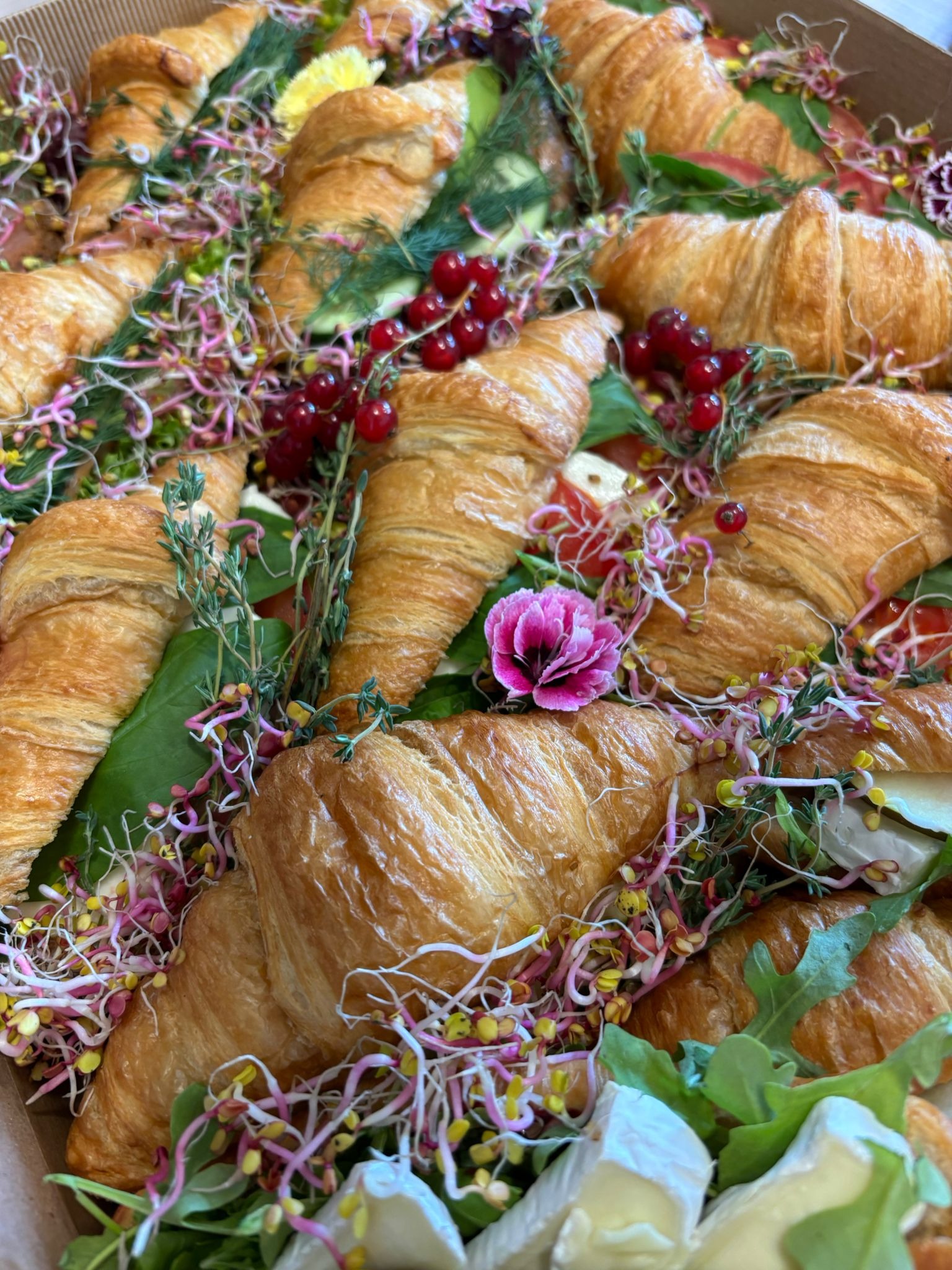 Kreatywna kompozycja cateringowa: croissanty z warzywami, ziołami i jadalnymi kwiatami, ułożone w boxie. Widok z góry, detale świeżych składników.