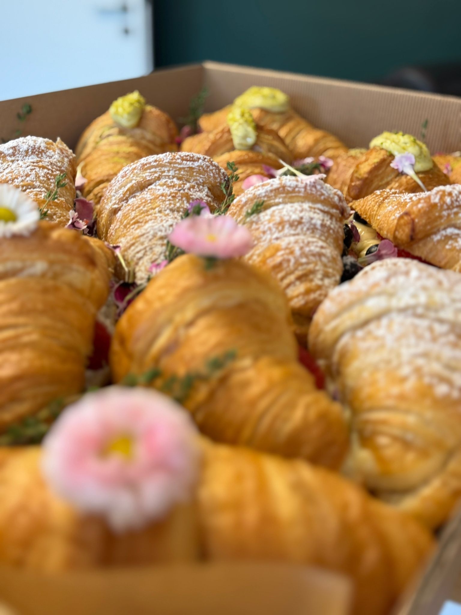 oferta standard - catering w boxach