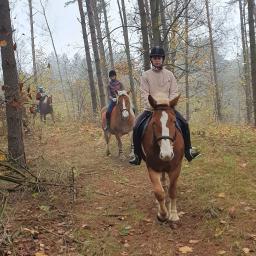 Stadniny i jazda konna Okrągłe 4