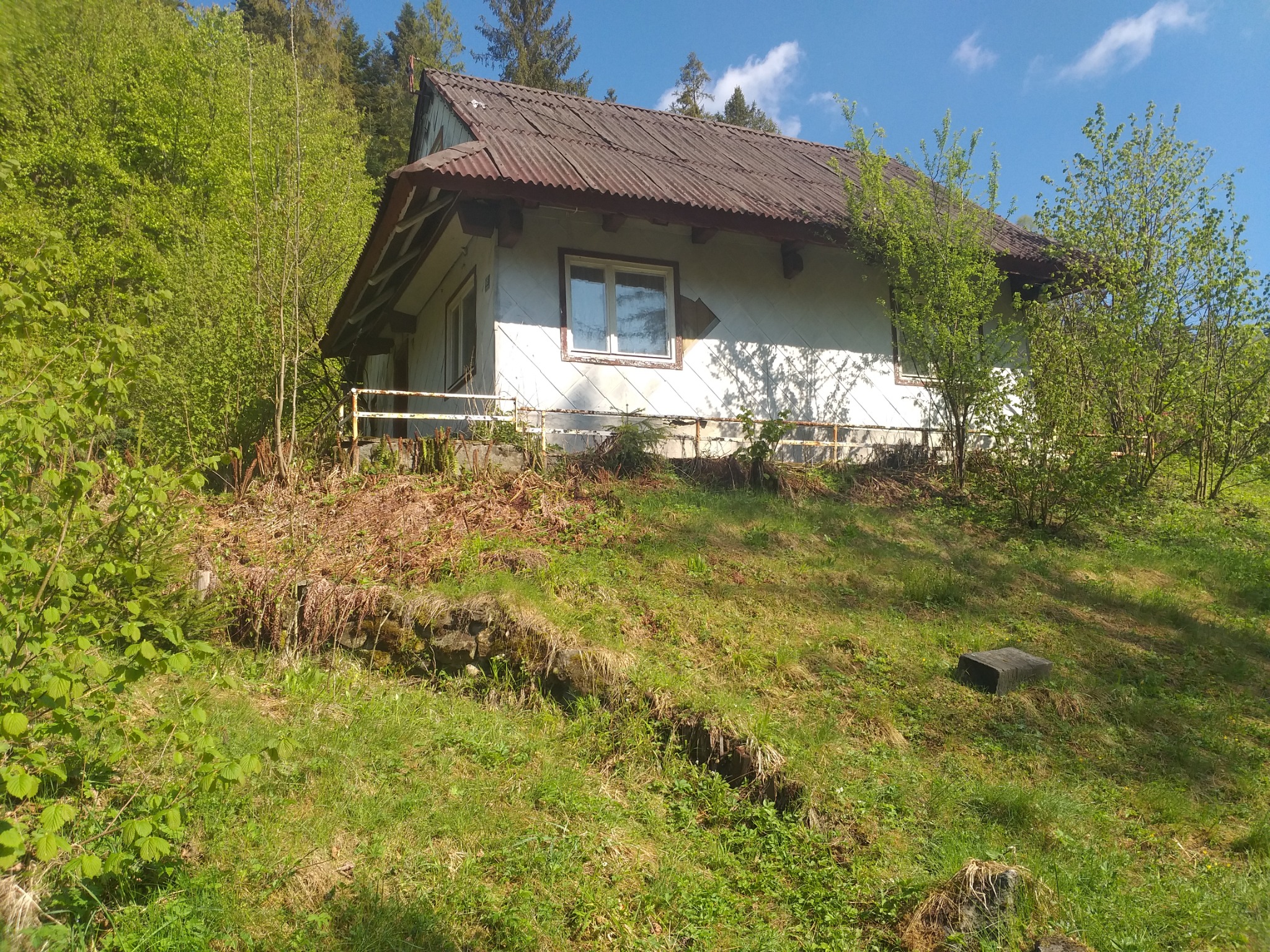 Nieduży, zaniedbany dom z blachy falistej na dachu, częściowo zasłonięty drzewami i krzewami, z widoczną zardzewiałą barierką i nierównym terenem wokół.