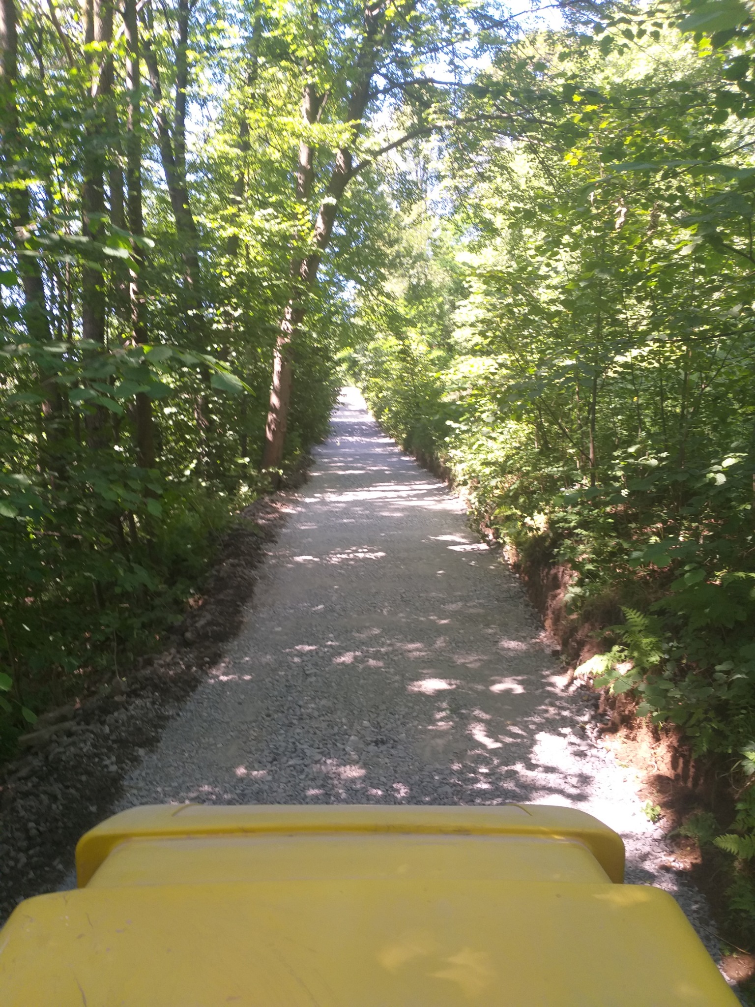 Widok z perspektywy operatora maszyny na nowo utwardzoną, żwirową drogę leśną, otoczoną zielenią, z widocznym fragmentem żółtej maszyny na pierwszym planie.