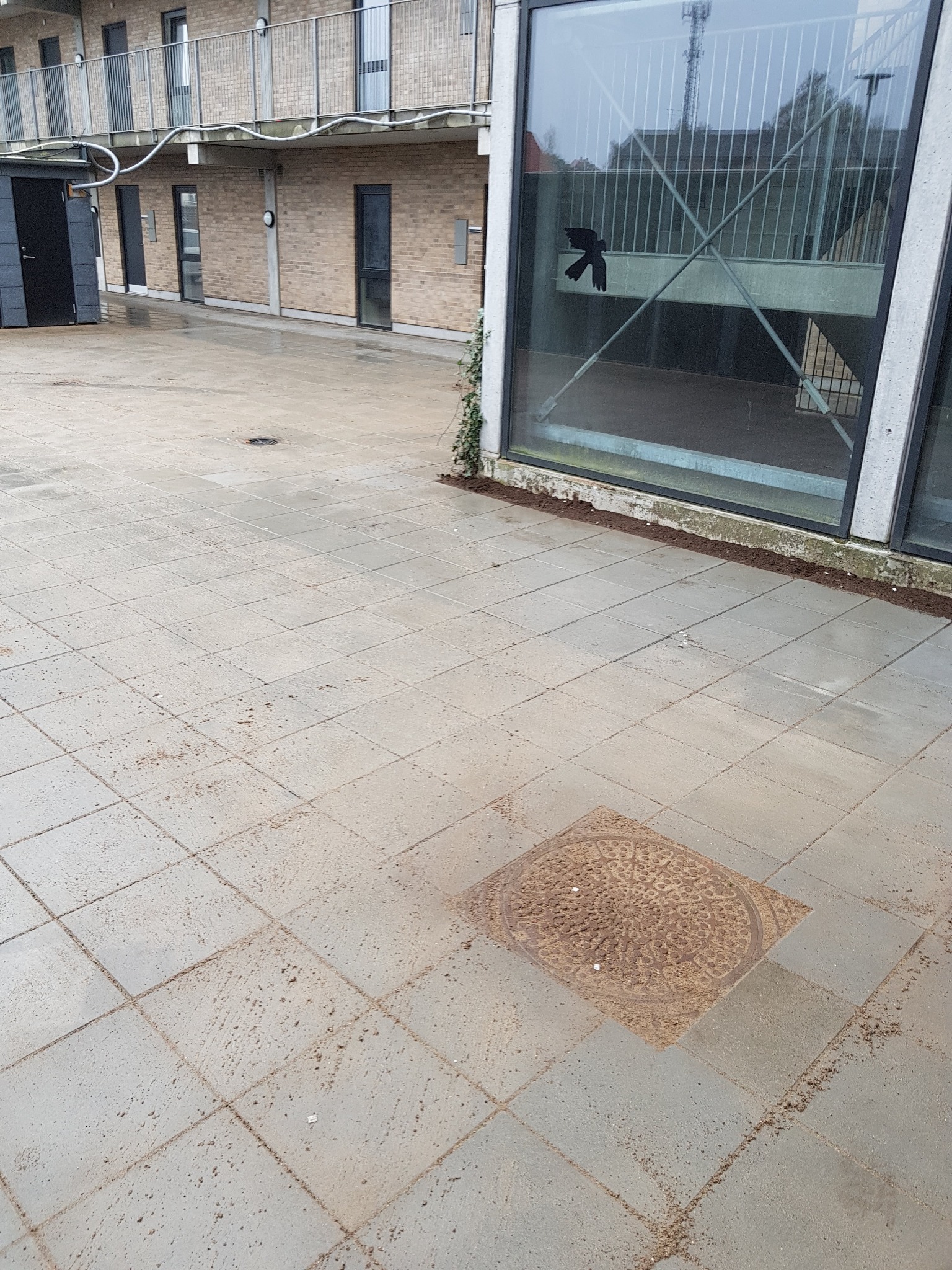 Szare płytki chodnikowe na zewnątrz budynku z widoczną studzienką kanalizacyjną z dekoracyjnym wzorem, z elementami piasku w spoinach. W tle budynek z cegły i duże okno z naklejoną sylwetką ptaka.