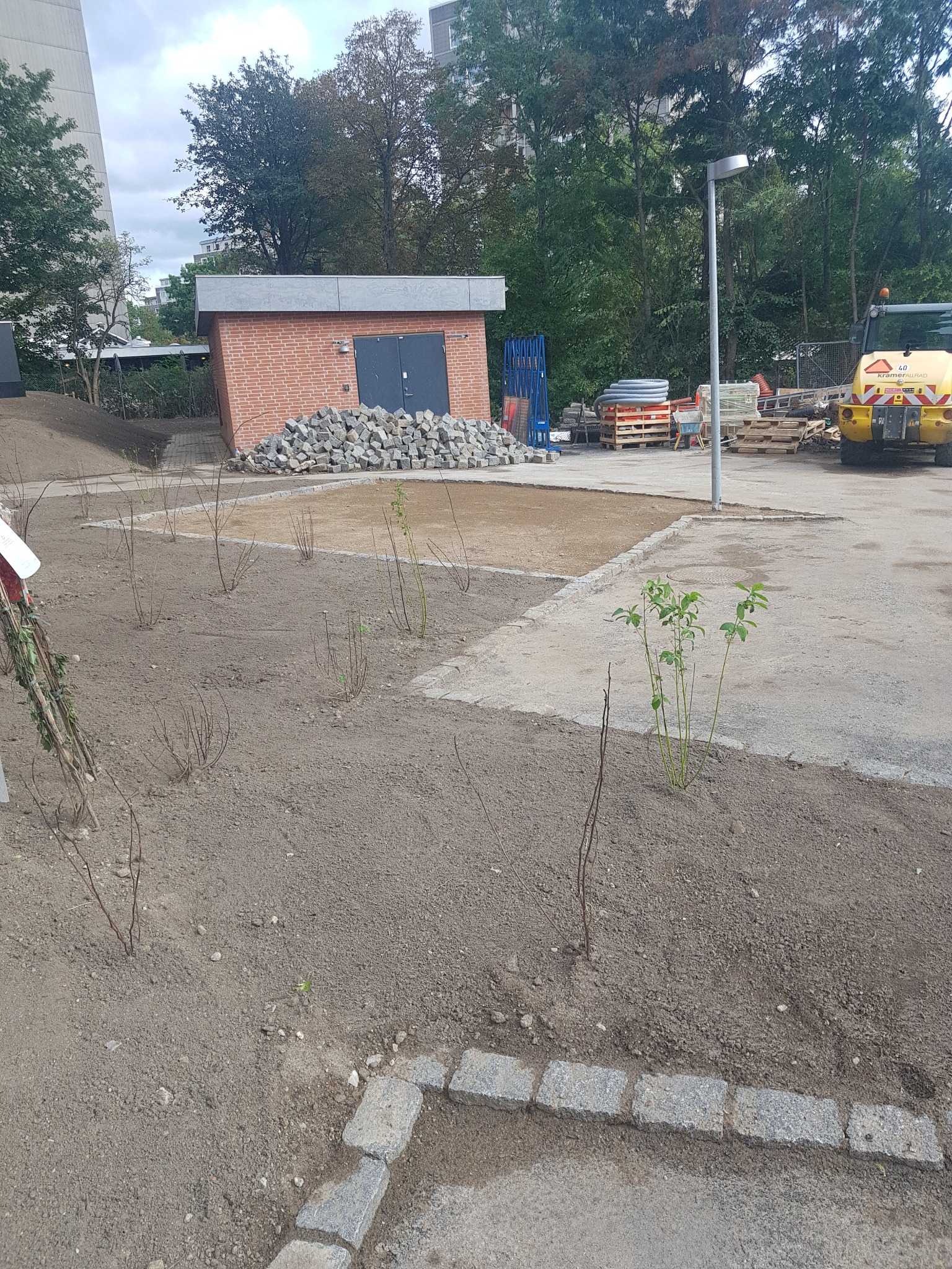 Przygotowany teren pod przyszły ogród z młodymi sadzonkami, obrzeżem z kostki granitowej i stertą kamieni w tle.