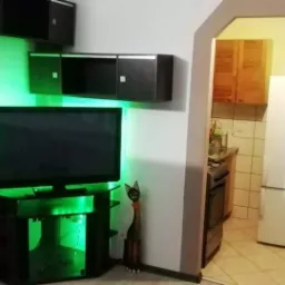 Telewizor z podświetleniem LED w kolorze zielonym, zamontowany na czarnej szafce RTV z półkami, obok drewniana figurka kota, na ścianie wiszące szafki, widok na kuchnię w tle.