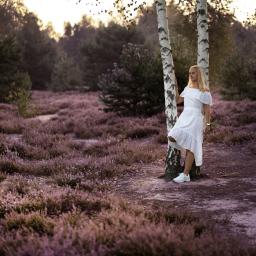 Fotografia i filmowanie Adam Sielski - Kobieta w białej sukience opiera się o brzozę na wrzosowisku w promieniach zachodzącego słońca, z widocznymi drzewami w tle.