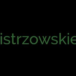 MK MISTRZOWSKIE KSIĘGI ROBERT MARCINIAK - Księgowość Łódź