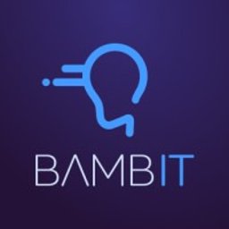 Bambit - Programista Łódź
