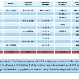 Tabela porównawcza różnych wariantów ubezpieczeń, prezentująca zakres ochrony i minimalne kwoty świadczeń dla różnych sytuacji życiowych, takich jak śmierć naturalna, wypadek komunikacyjny...