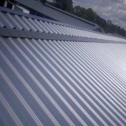 Kalenica otwarta na oborze 