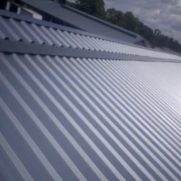 Kalenica otwarta na oborze