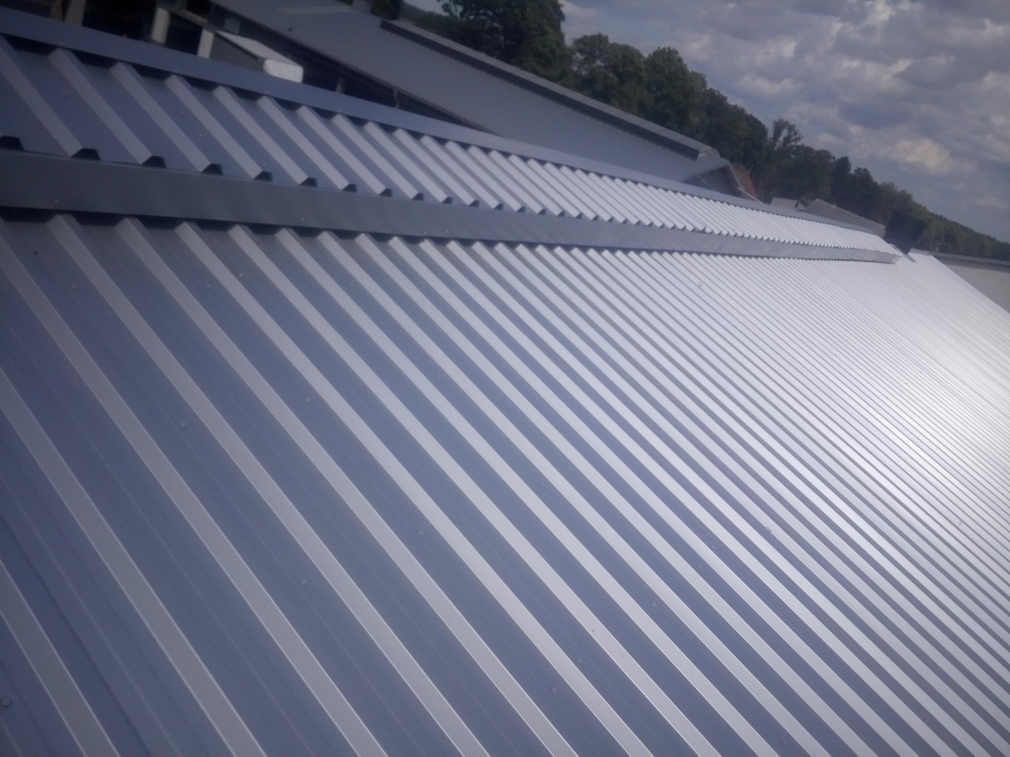 Kalenica otwarta na oborze