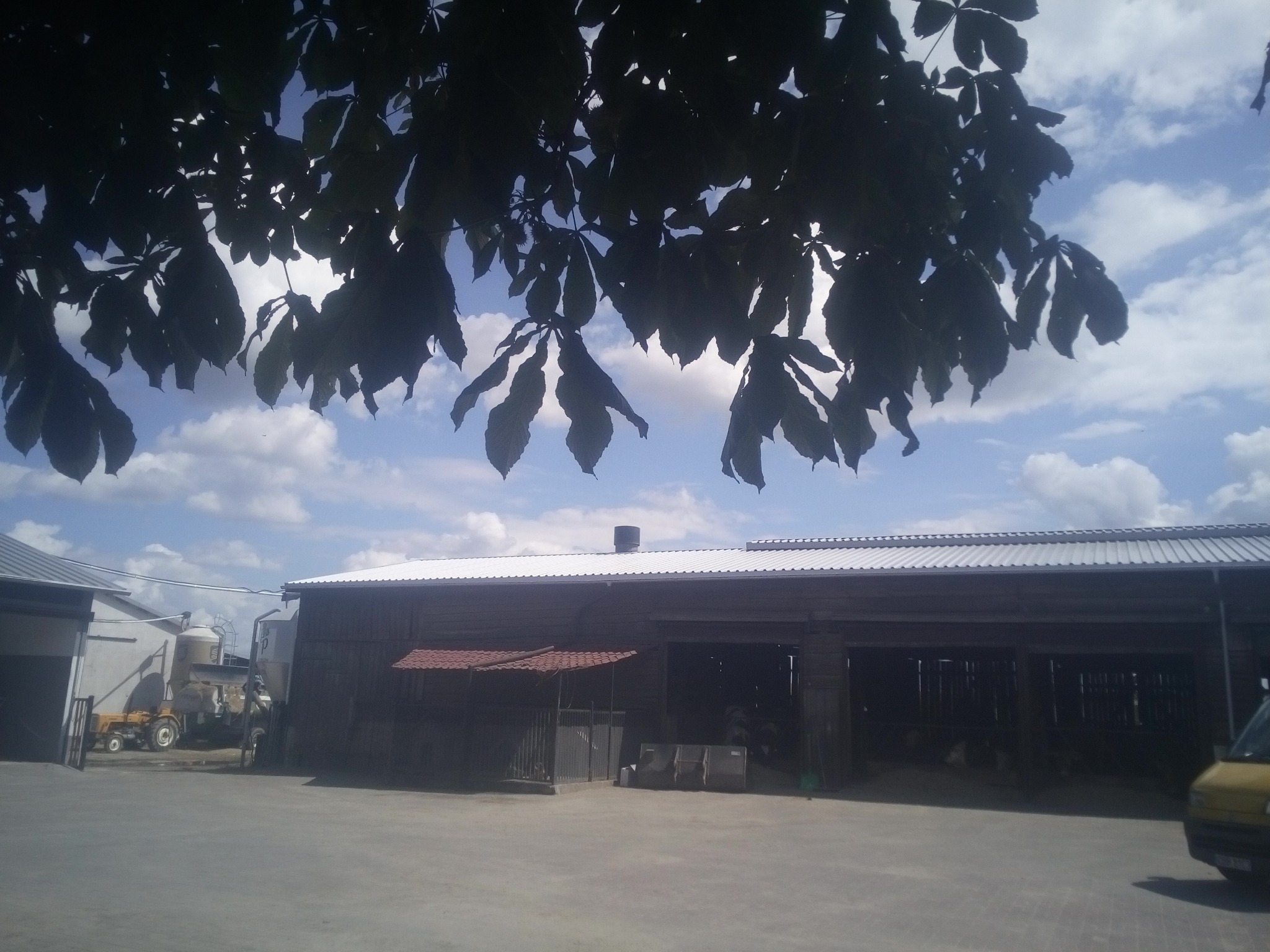 Budynek gospodarczy z białym dachem blaszanym, widok spod drzewa z liśćmi, traktor i silosy w tle.