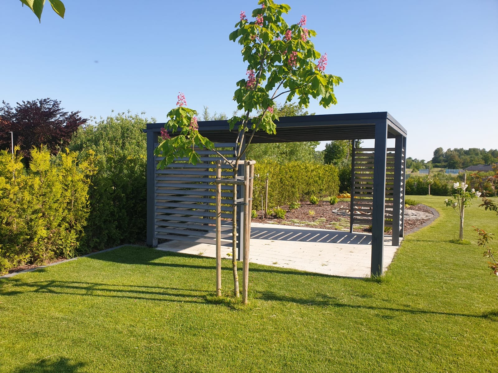 Nowoczesna, szara pergola z poziomymi lamelami w Gdańsku, z młodym kasztanowcem przed nią, otoczona zadbanym trawnikiem i różnorodną roślinnością.