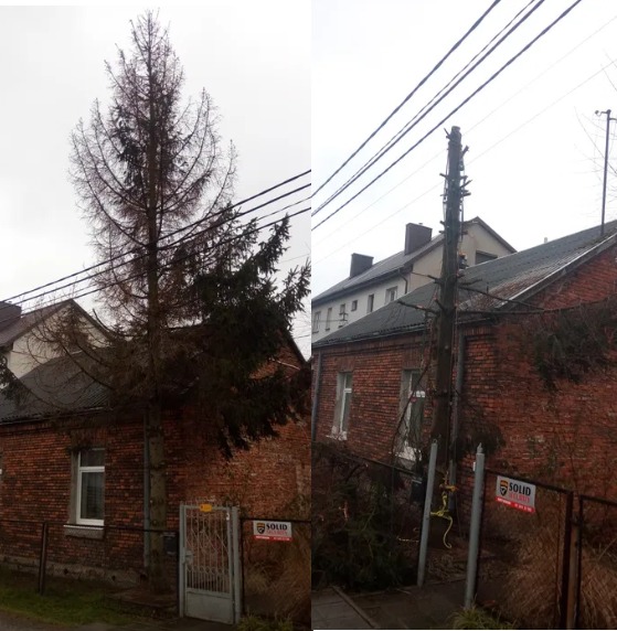 Wycinka drzew w problematycznych miejscach.