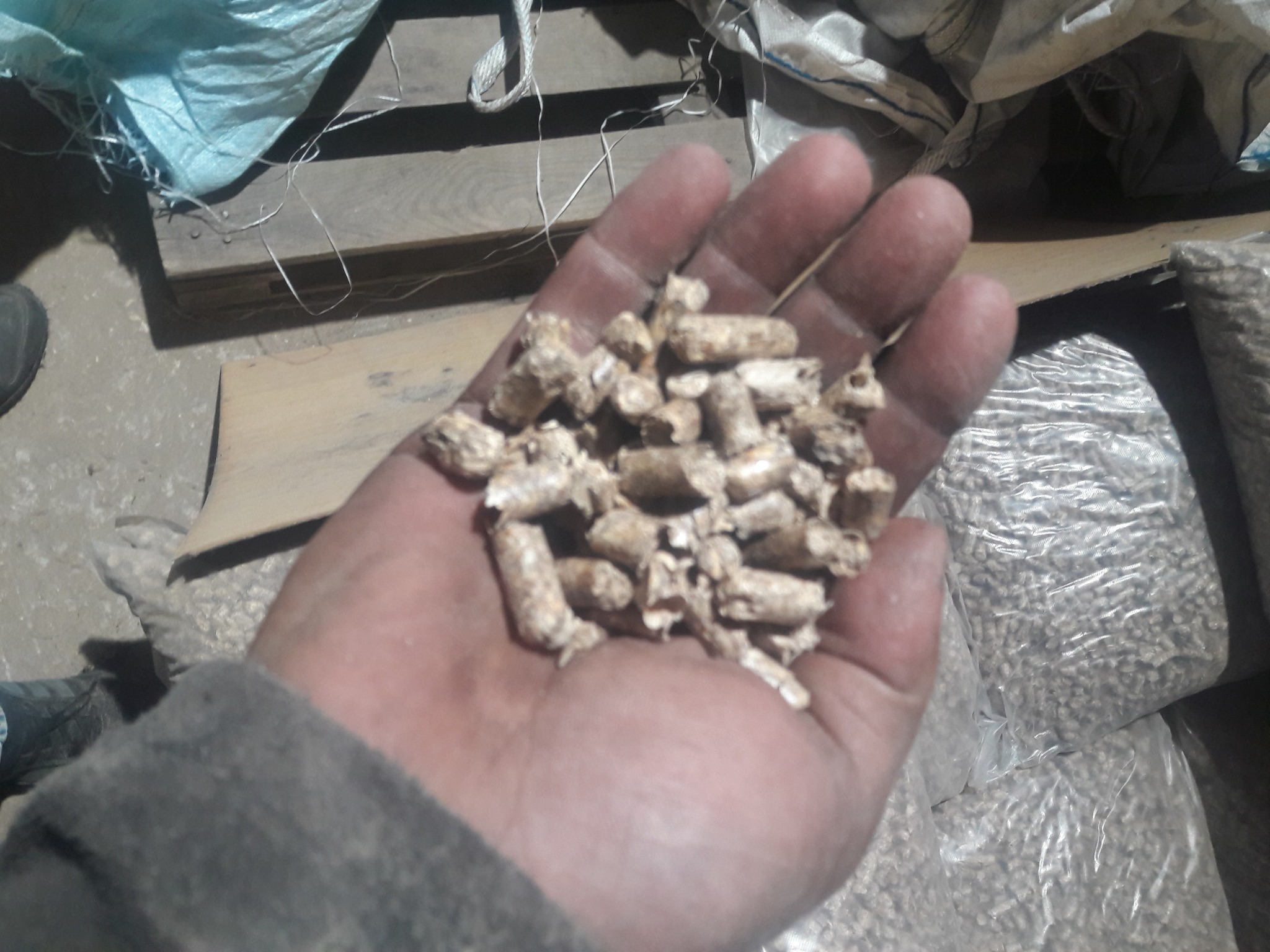 Garść pelletu drzewnego na dłoni, w tle worki z pelletem, widoczne fragmenty podłoża i obuwia.