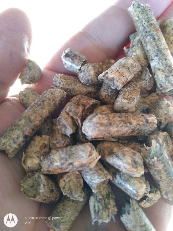 Garść jasnych, brązowo-szarych peletek z widoczną strukturą drewna, trzymana w dłoni przy jasnym oświetleniu.