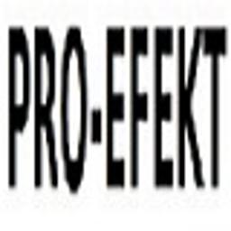PRO-EFEKT - Usługi Budowlane Ryn