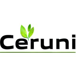 CERUNI - Instalacje Solarne Kielce