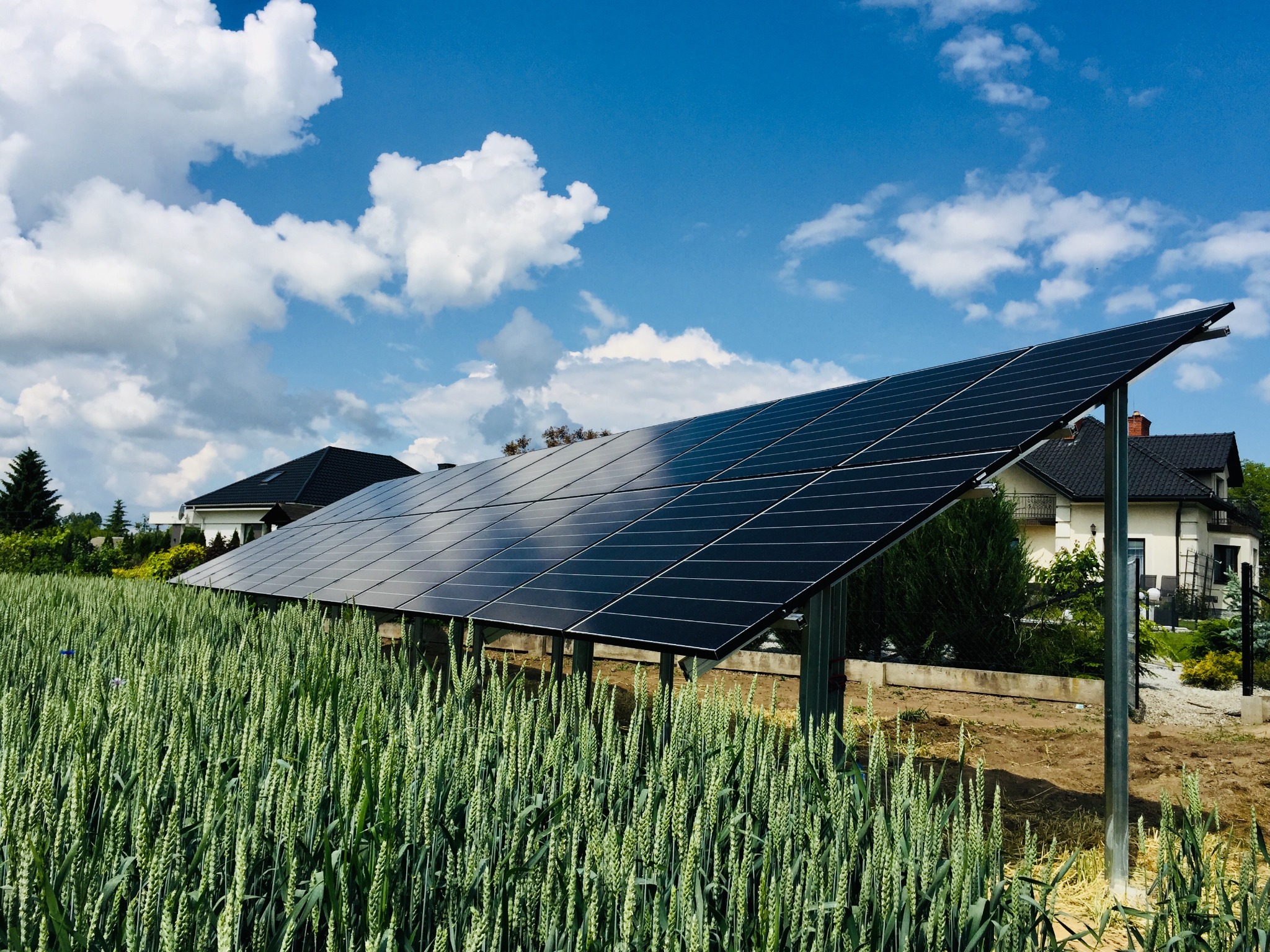 Rząd paneli słonecznych na metalowych wspornikach, umieszczony na polu zboża, z domami w tle pod błękitnym niebem z białymi chmurami.