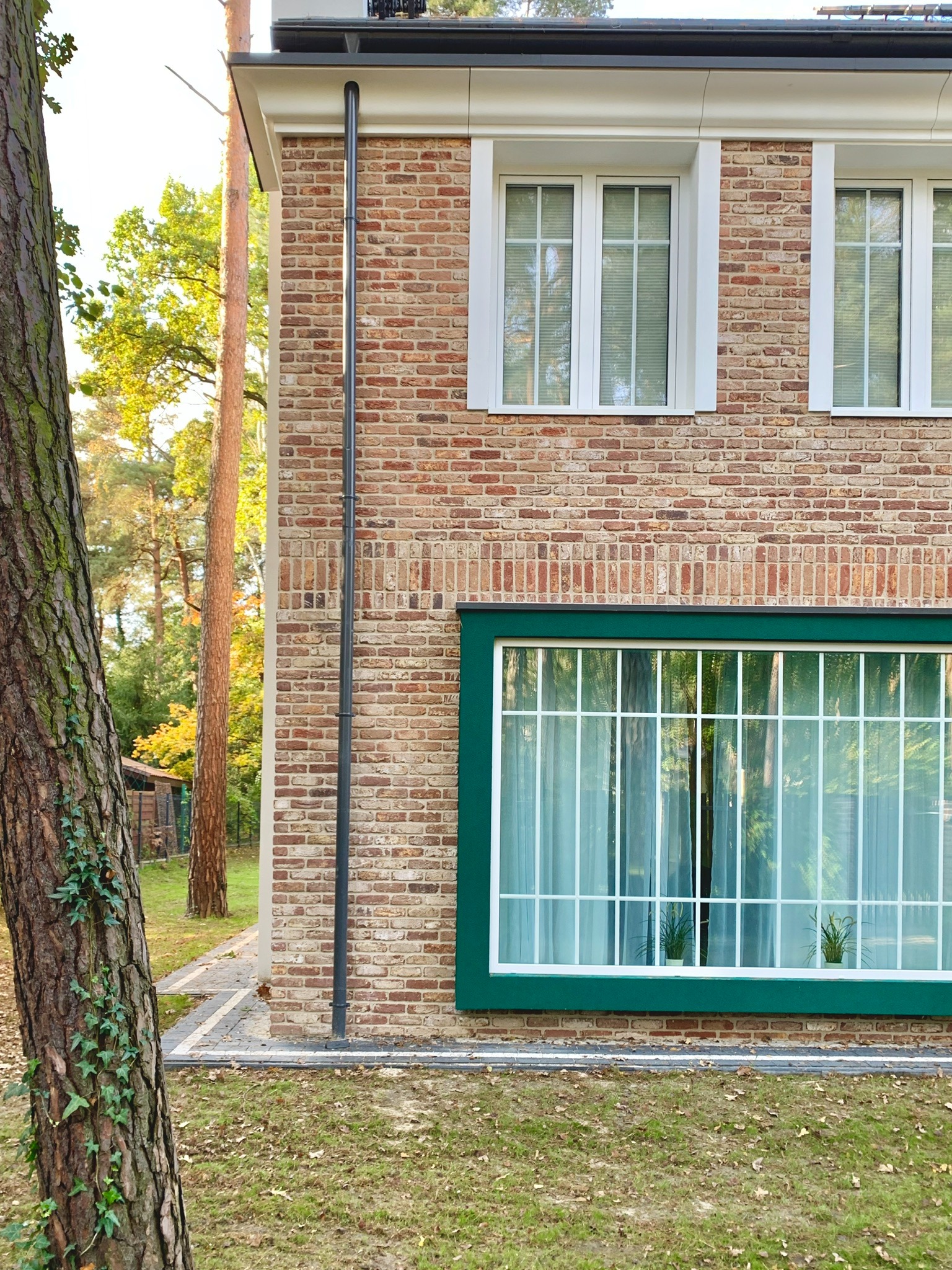 Fragment elewacji domu z cegły klinkierowej z dużym oknem w zielonej ramie, widok z zewnątrz, obok drzewo z bluszczem.