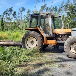 Wycinka drzew Gniezno 2