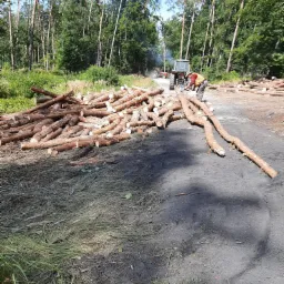 Stos ściętych pni drzew leżących na ziemi, w tle pracownik w kamizelce odblaskowej i traktor w lesie, widoczny dym.