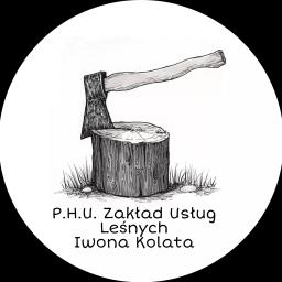 Wycinka drzew Gniezno 1