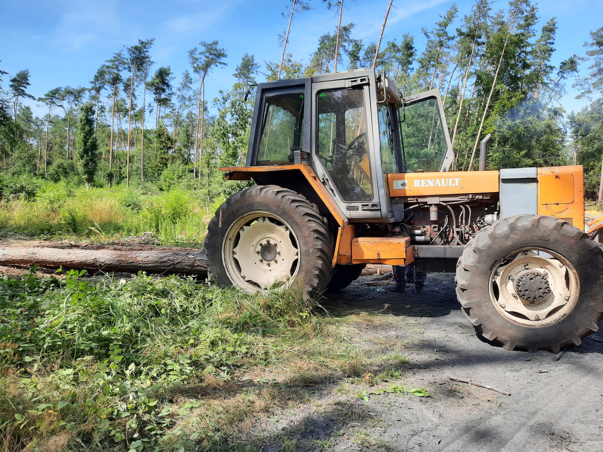 Pomarańczowo-szary traktor Renault stoi na skraju lasu, obok ściętego pnia drzewa i świeżo skoszonej trawy.