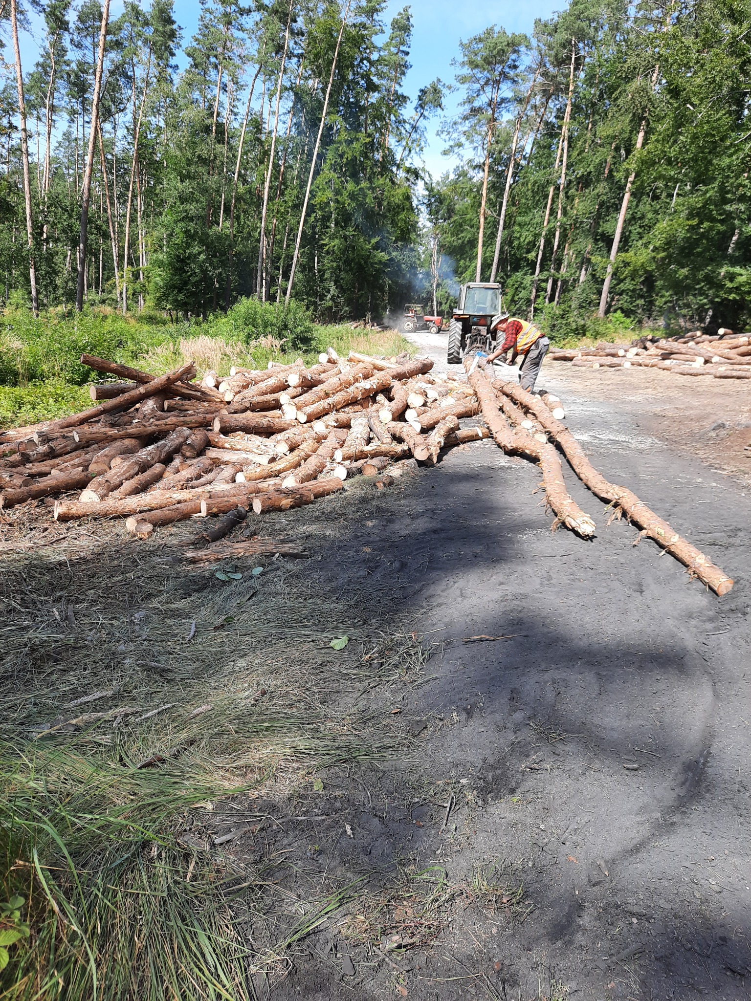 Stos ściętych pni drzew leżących na ziemi, w tle pracownik w kamizelce odblaskowej i traktor w lesie, widoczny dym.