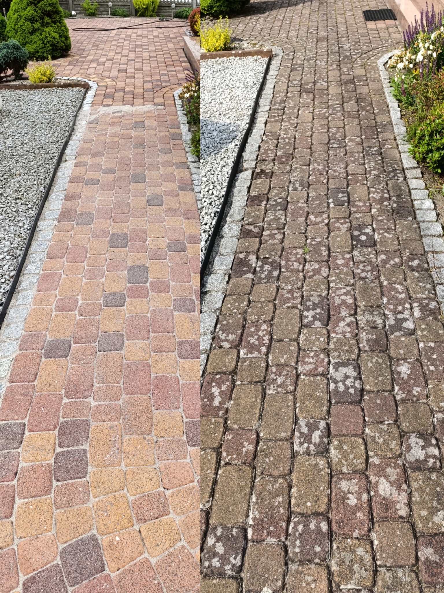 Kostka brukowa przed i po czyszczeniu: po lewej stronie czysta, kolorowa, po prawej brudna, pokryta mchem i zabrudzeniami. Widok z góry, w tle zieleń.