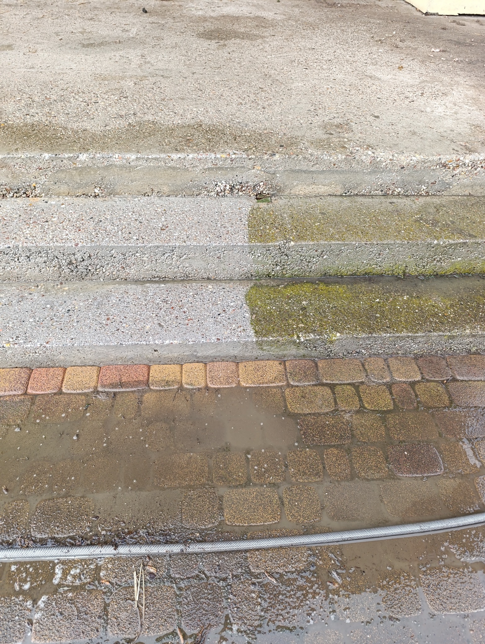 Częściowo wyczyszczone, betonowe schody z zielonym nalotem i kostka brukowa po myciu. Widoczny wąż ogrodowy. Efekt czyszczenia w trakcie realizacji.