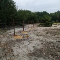 Rząd drewnianych słupków ogrodzeniowych z drutem rozciągniętym między nimi, świeżo osadzonych w piaszczystym gruncie, otoczonych lasem na horyzoncie.